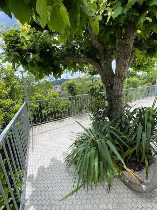 Paisible Eden Standing Terrasse - Magnifique Vue - Esprit Nature En Pleine Ville 图勒 外观 照片
