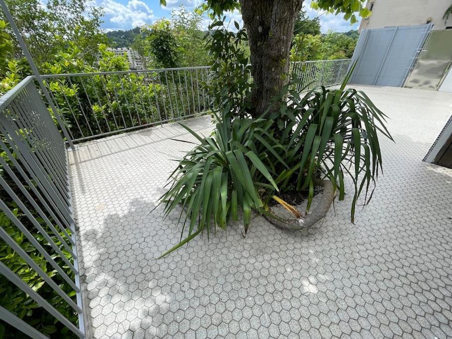 Paisible Eden Standing Terrasse - Magnifique Vue - Esprit Nature En Pleine Ville 图勒 外观 照片